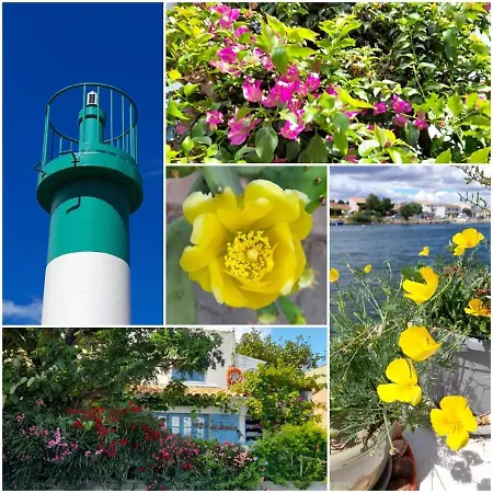 La D'isa Bed & Breakfast