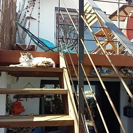 La D'isa Bed & Breakfast Sète