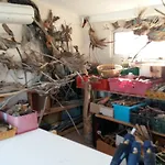 La D'isa Sète